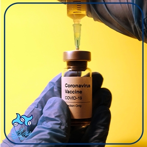 نهادهای مدنی آمریکا و نقشی که در افزایش واکسیناسیون دارند